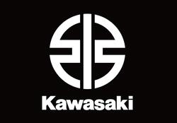 Disco de freno trasero Kawasaki Ninja ZX-10R 2021 - 2024